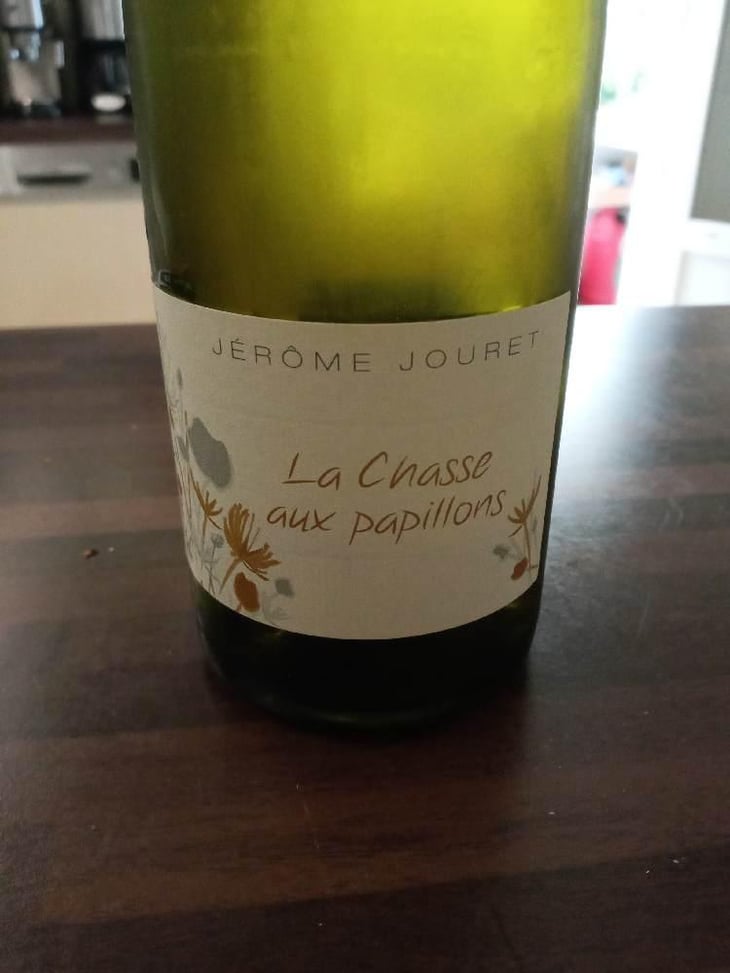 La Chasse Aux Papillons - Jérome Jouret - Jérôme Jouret 