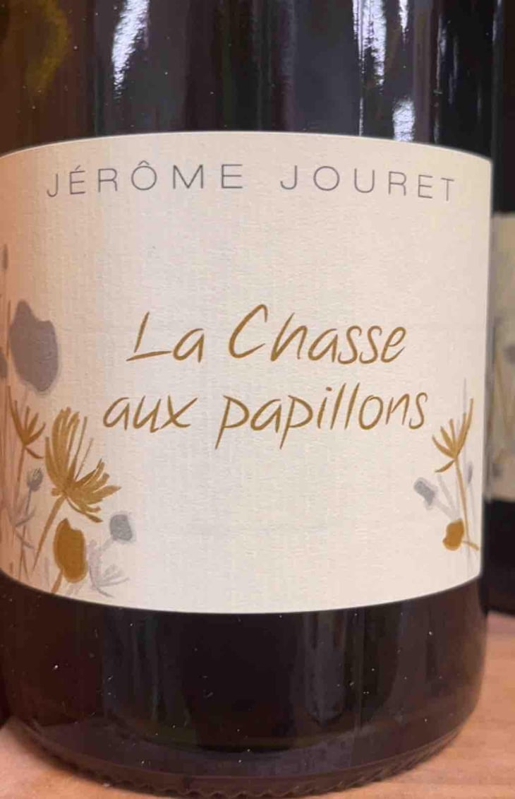 La Chasse Aux Papillons - Jérome Jouret - Jérôme Jouret 