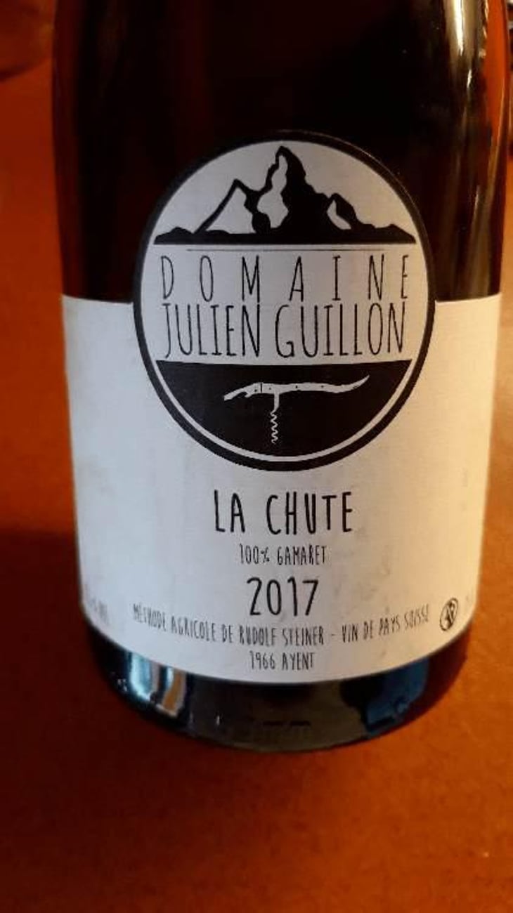 La Chute - Domaine Julien Guillon - Julien Guillon 