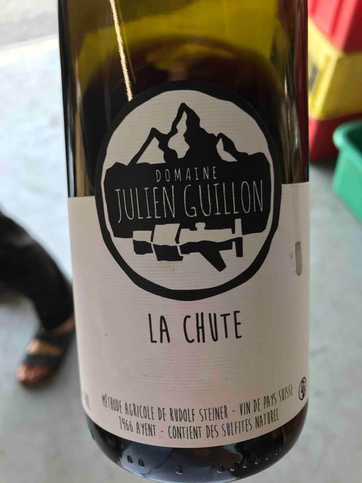 La Chute - Domaine Julien Guillon - Julien Guillon 