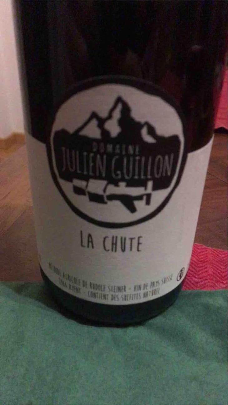La Chute - Domaine Julien Guillon - Julien Guillon 