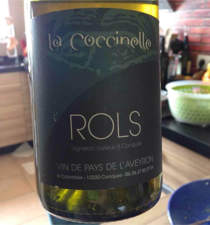 La Coccinelle - Joël & Patrick Rols - Joël & Patrick Rols 