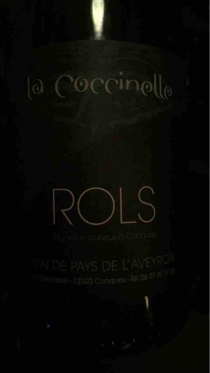 La Coccinelle - Joël & Patrick Rols - Joël & Patrick Rols 