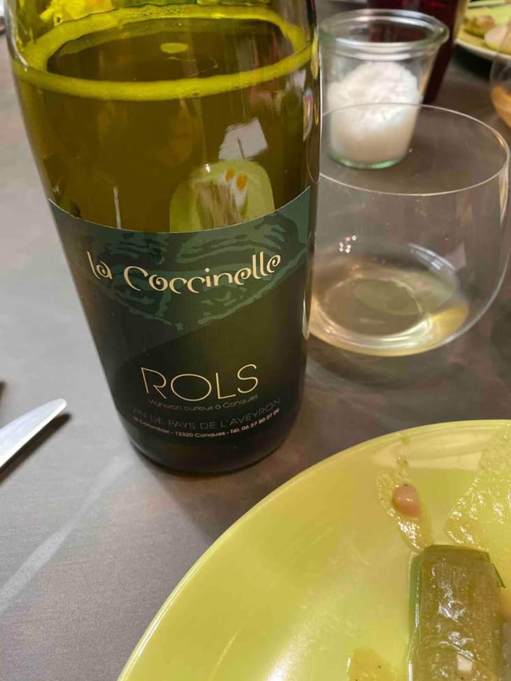 La Coccinelle - Joël & Patrick Rols - Joël & Patrick Rols 