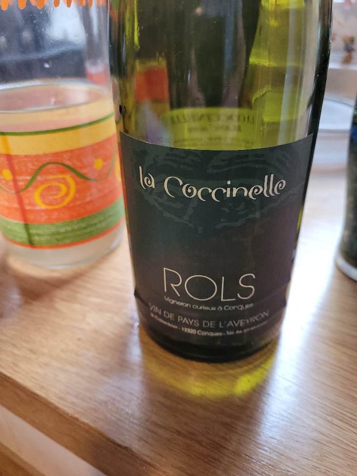 La Coccinelle - Joël & Patrick Rols - Joël & Patrick Rols 