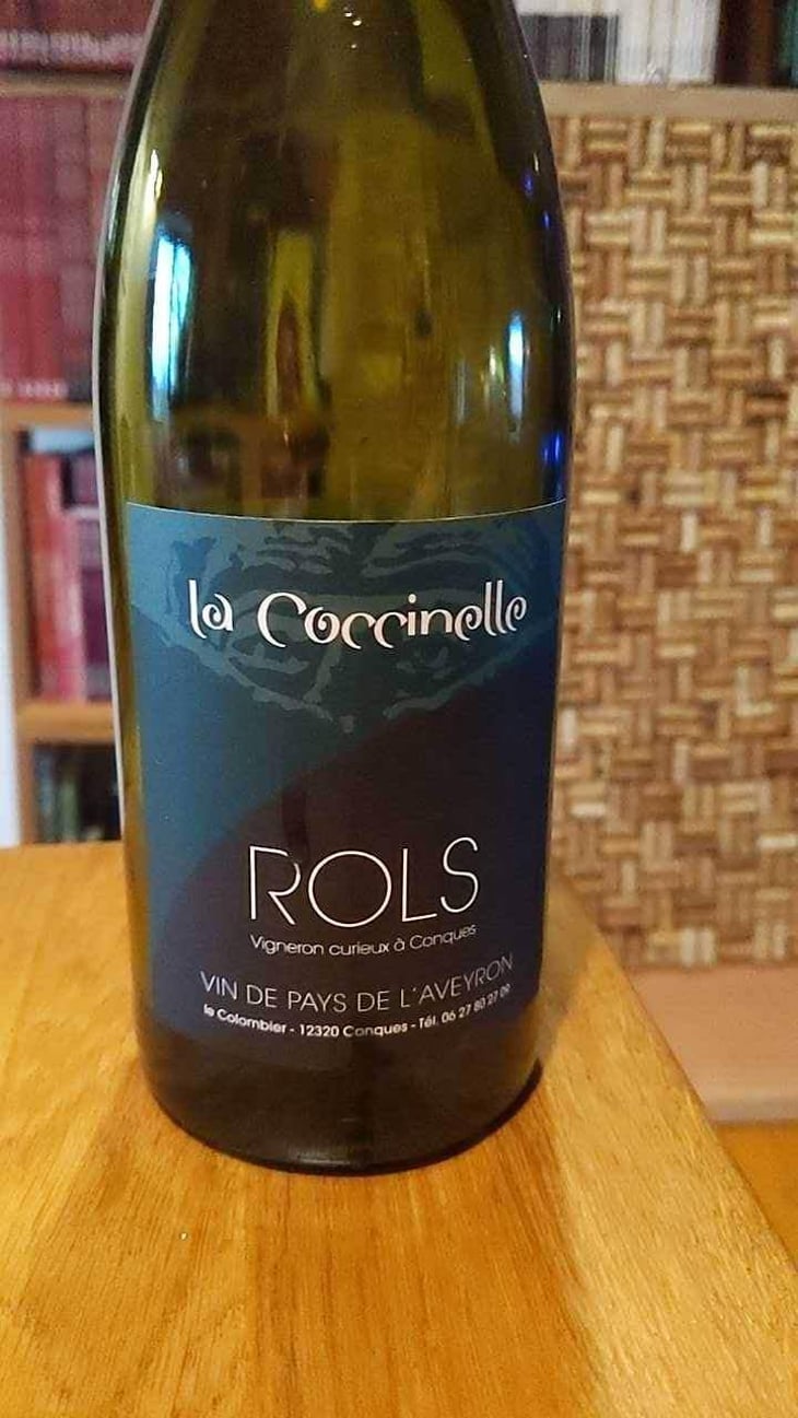 La Coccinelle - Joël & Patrick Rols - Joël & Patrick Rols 