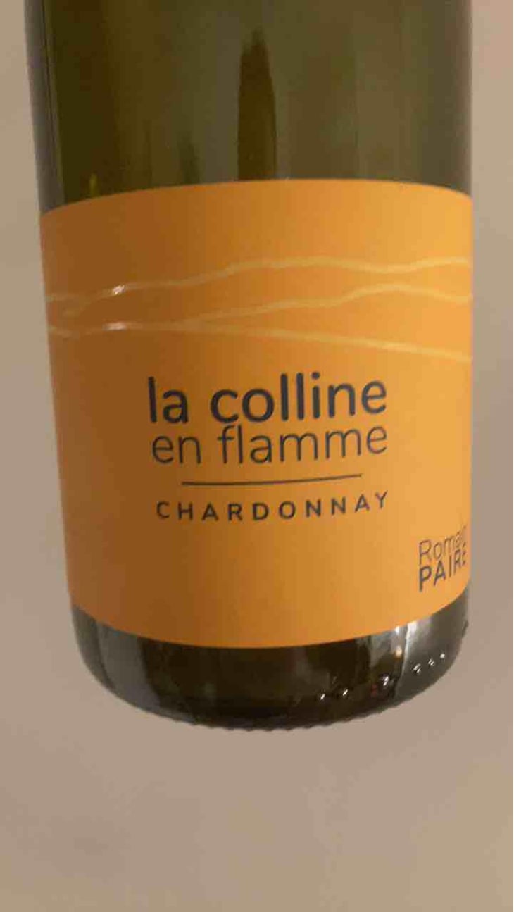 La Colline En Flamme - Domaine des Pothiers - Denise, Georges & Romain Paire 