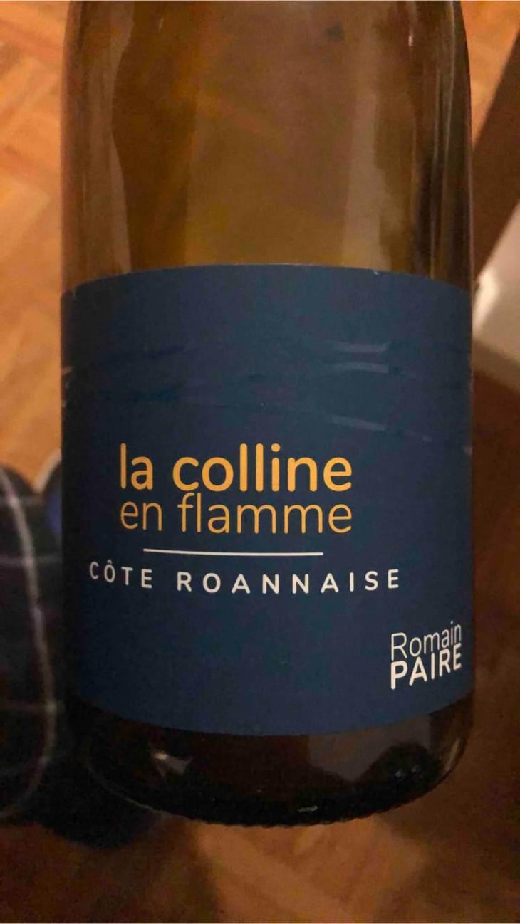 La Colline En Flamme - Domaine des Pothiers - Denise, Georges & Romain Paire 