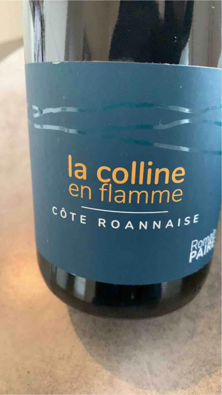 La Colline En Flamme - Domaine des Pothiers - Denise, Georges & Romain Paire 