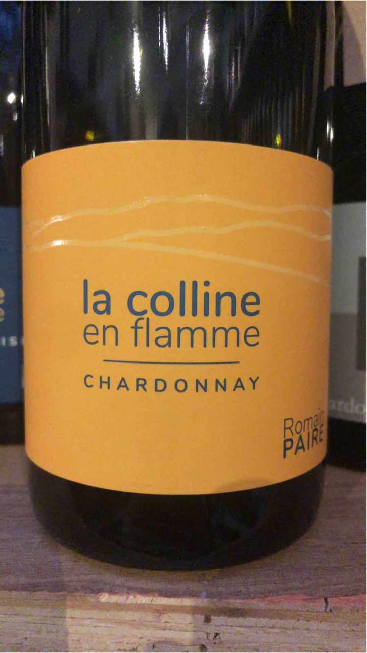 La Colline En Flamme - Domaine des Pothiers - Denise, Georges & Romain Paire 