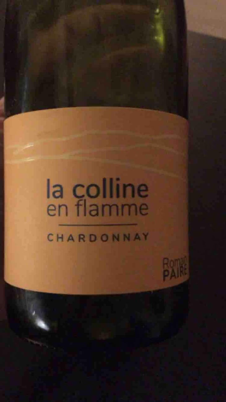 La Colline En Flamme - Domaine des Pothiers - Denise, Georges & Romain Paire 