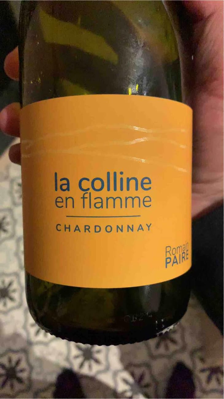 La Colline En Flamme - Domaine des Pothiers - Denise, Georges & Romain Paire 