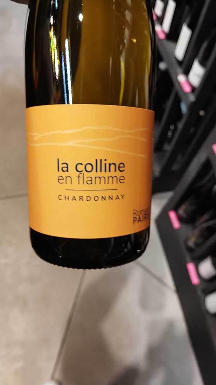 La Colline En Flamme - Domaine des Pothiers - Denise, Georges & Romain Paire 