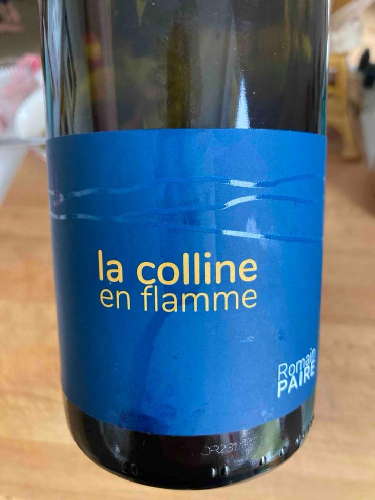 La Colline En Flamme - Domaine des Pothiers - Denise, Georges & Romain Paire 