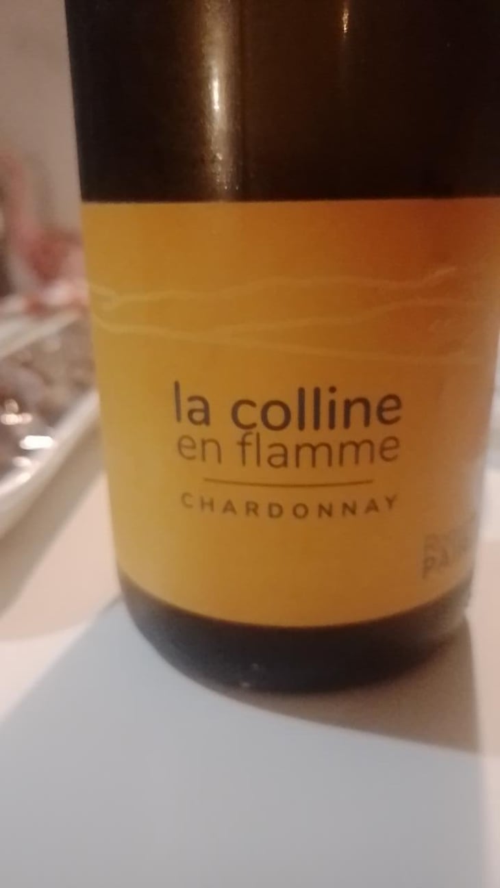 La Colline En Flamme - Domaine des Pothiers - Denise, Georges & Romain Paire 