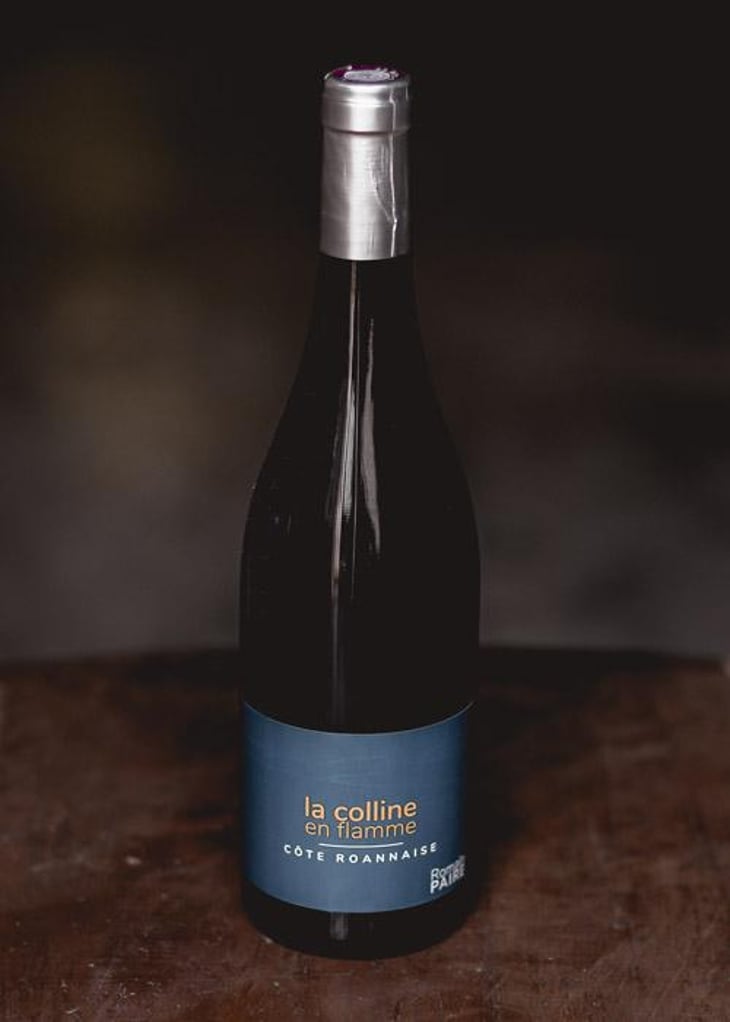 La Colline En Flamme - Domaine des Pothiers - Denise, Georges & Romain Paire 
