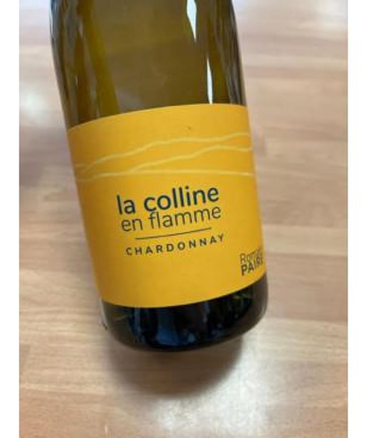 La Colline En Flamme - Domaine des Pothiers - Denise, Georges & Romain Paire 