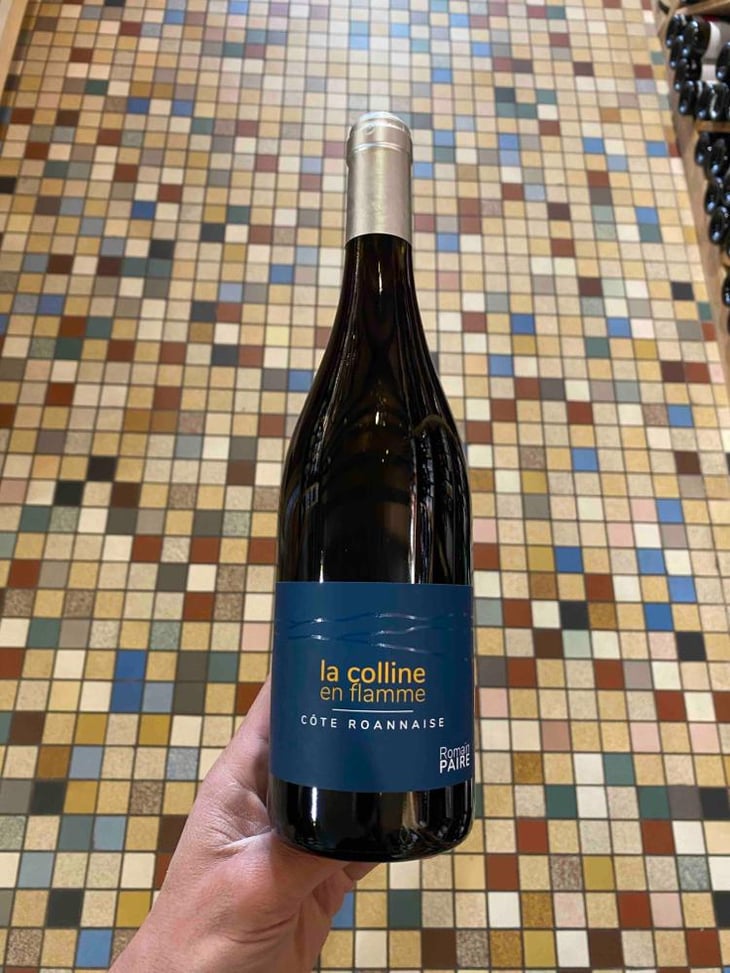 La Colline En Flamme - Domaine des Pothiers - Denise, Georges & Romain Paire 