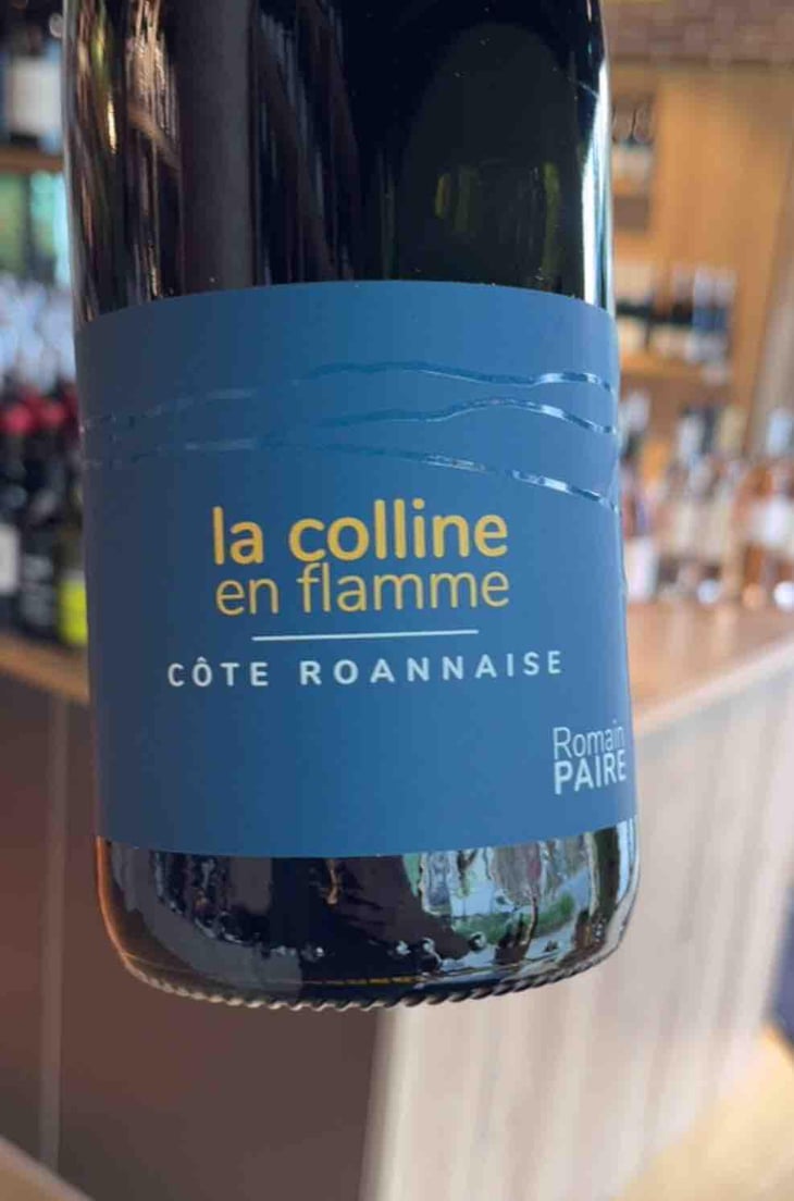 La Colline En Flamme - Domaine des Pothiers - Denise, Georges & Romain Paire 