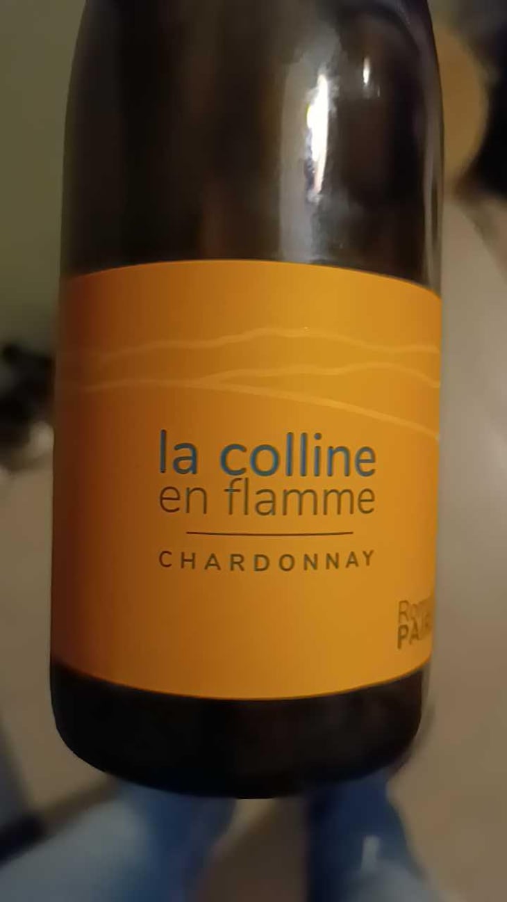 La Colline En Flamme - Domaine des Pothiers - Denise, Georges & Romain Paire 