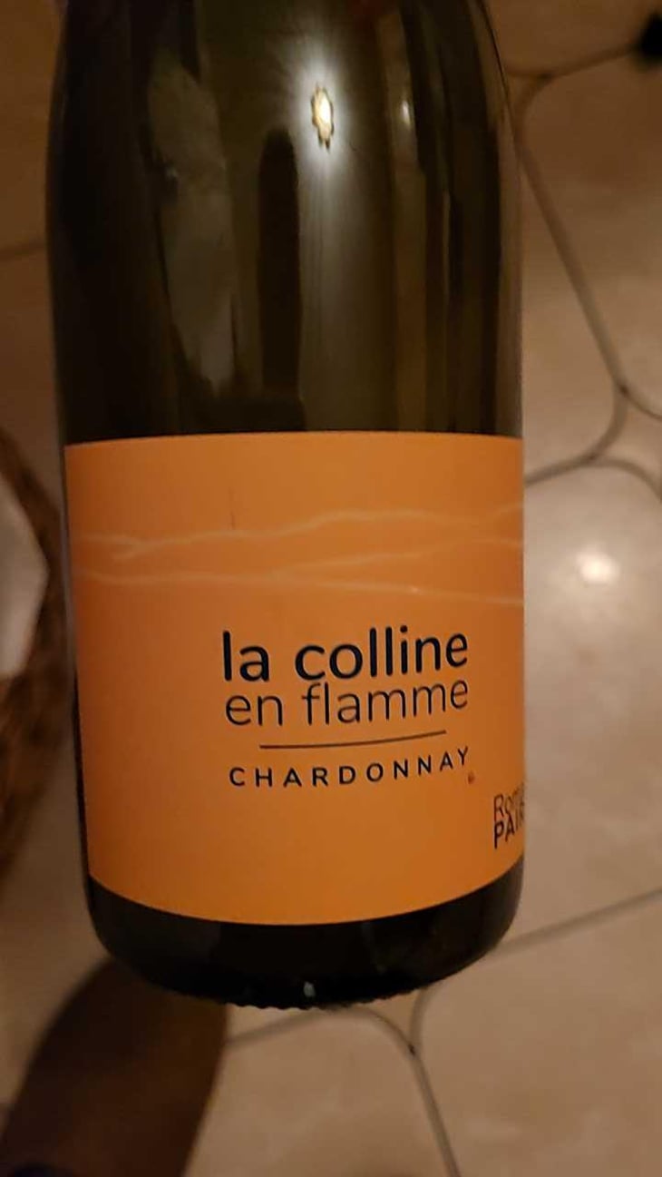 La Colline En Flamme - Domaine des Pothiers - Denise, Georges & Romain Paire 
