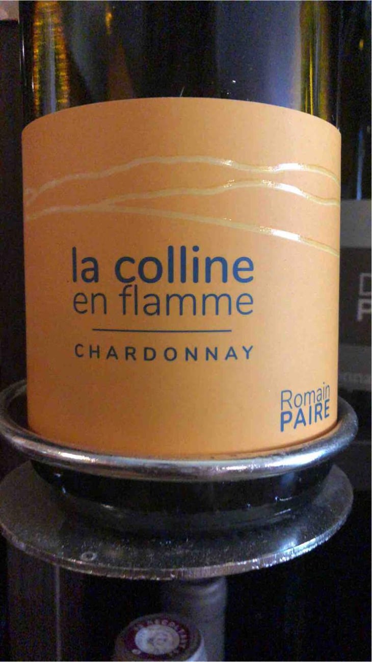 La Colline En Flamme - Domaine des Pothiers - Denise, Georges & Romain Paire 