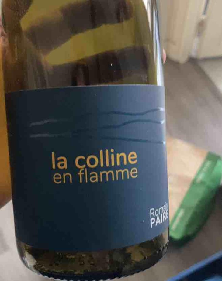 La Colline En Flamme - Domaine des Pothiers - Denise, Georges & Romain Paire 