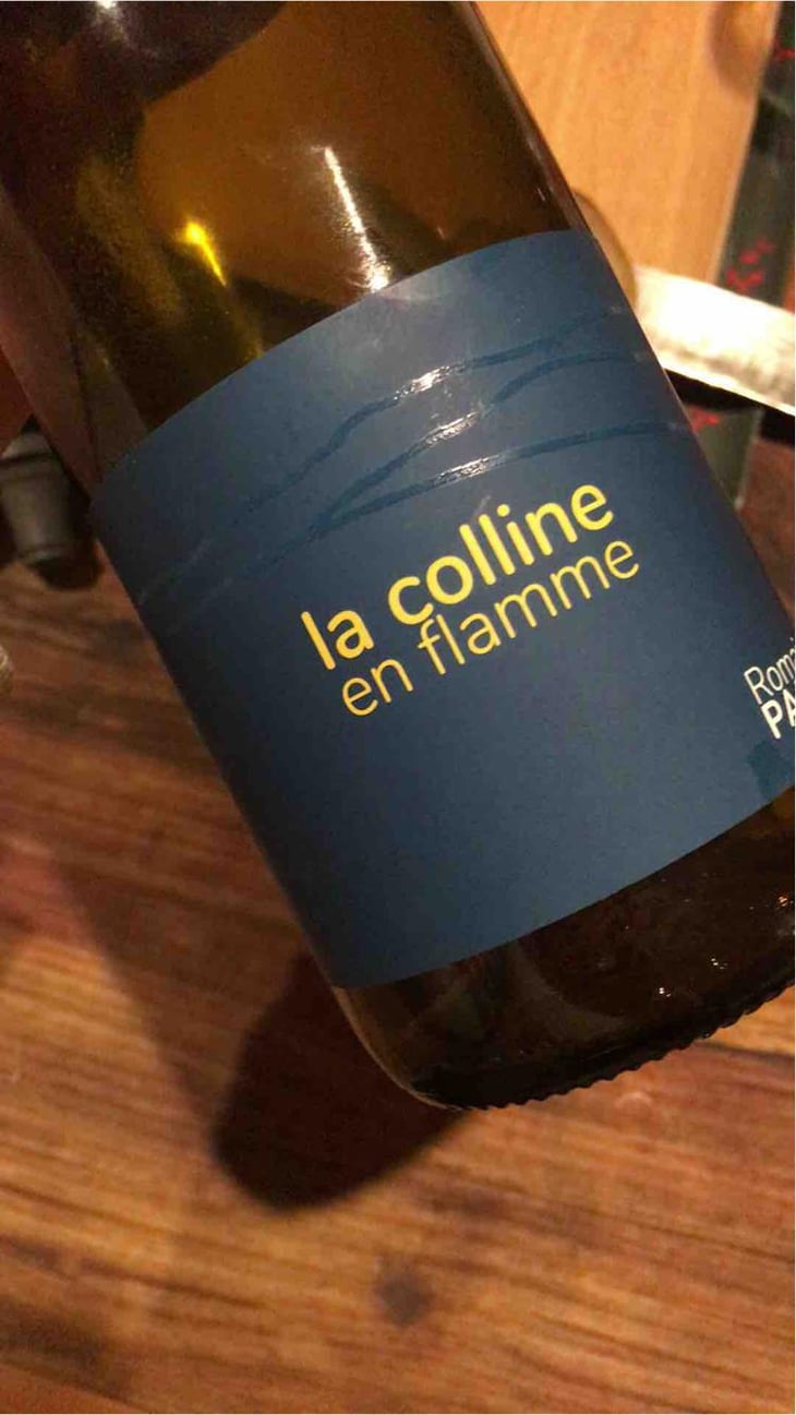 La Colline En Flamme - Domaine des Pothiers - Denise, Georges & Romain Paire 