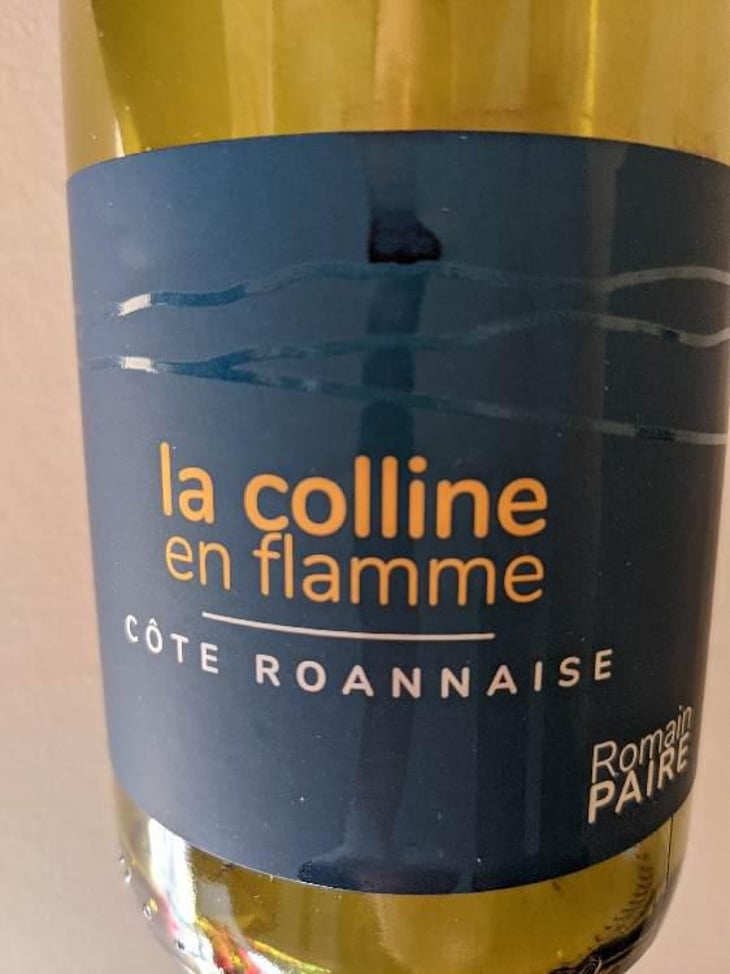 La Colline En Flamme - Domaine des Pothiers - Denise, Georges & Romain Paire 