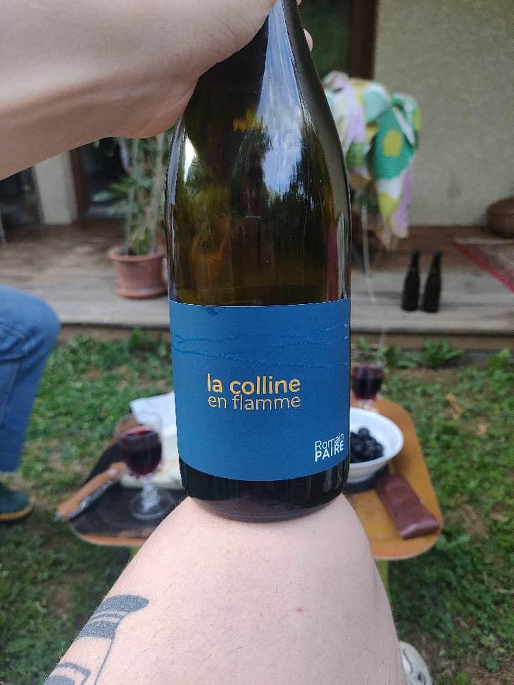 La Colline En Flamme - Domaine des Pothiers - Denise, Georges & Romain Paire 