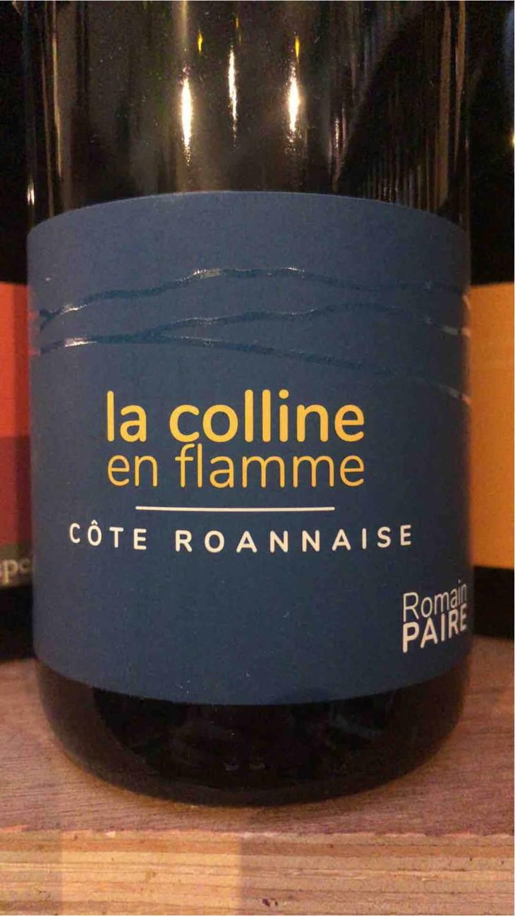 La Colline En Flamme - Domaine des Pothiers - Denise, Georges & Romain Paire 