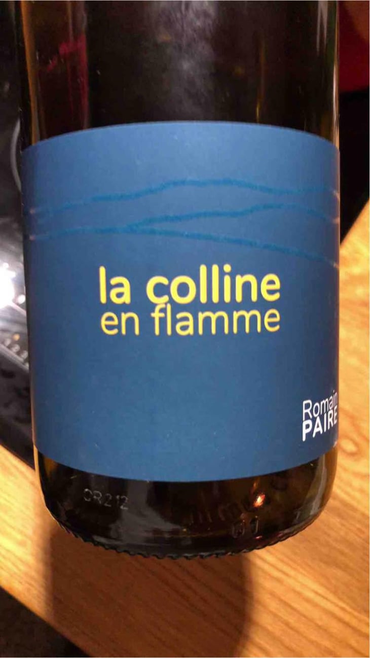 La Colline En Flamme - Domaine des Pothiers - Denise, Georges & Romain Paire 