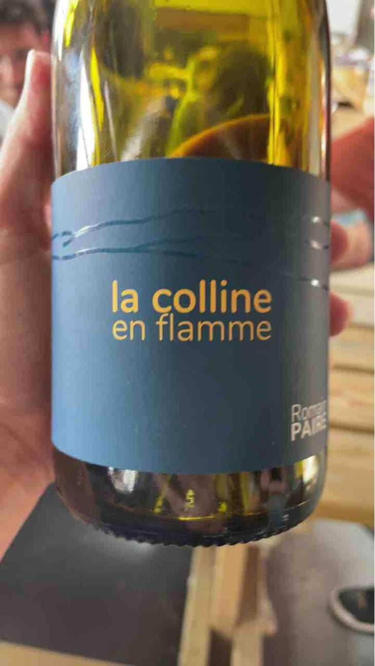 La Colline En Flamme - Domaine des Pothiers - Denise, Georges & Romain Paire 