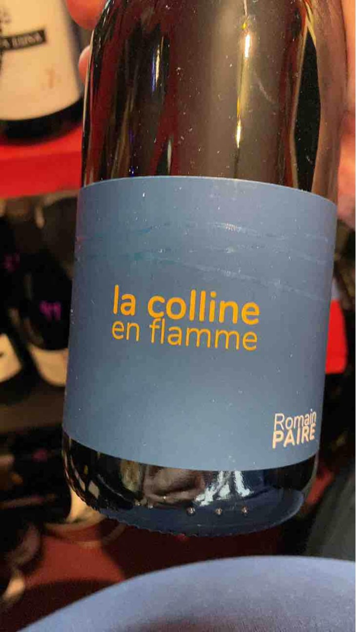 La Colline En Flamme - Domaine des Pothiers - Denise, Georges & Romain Paire 
