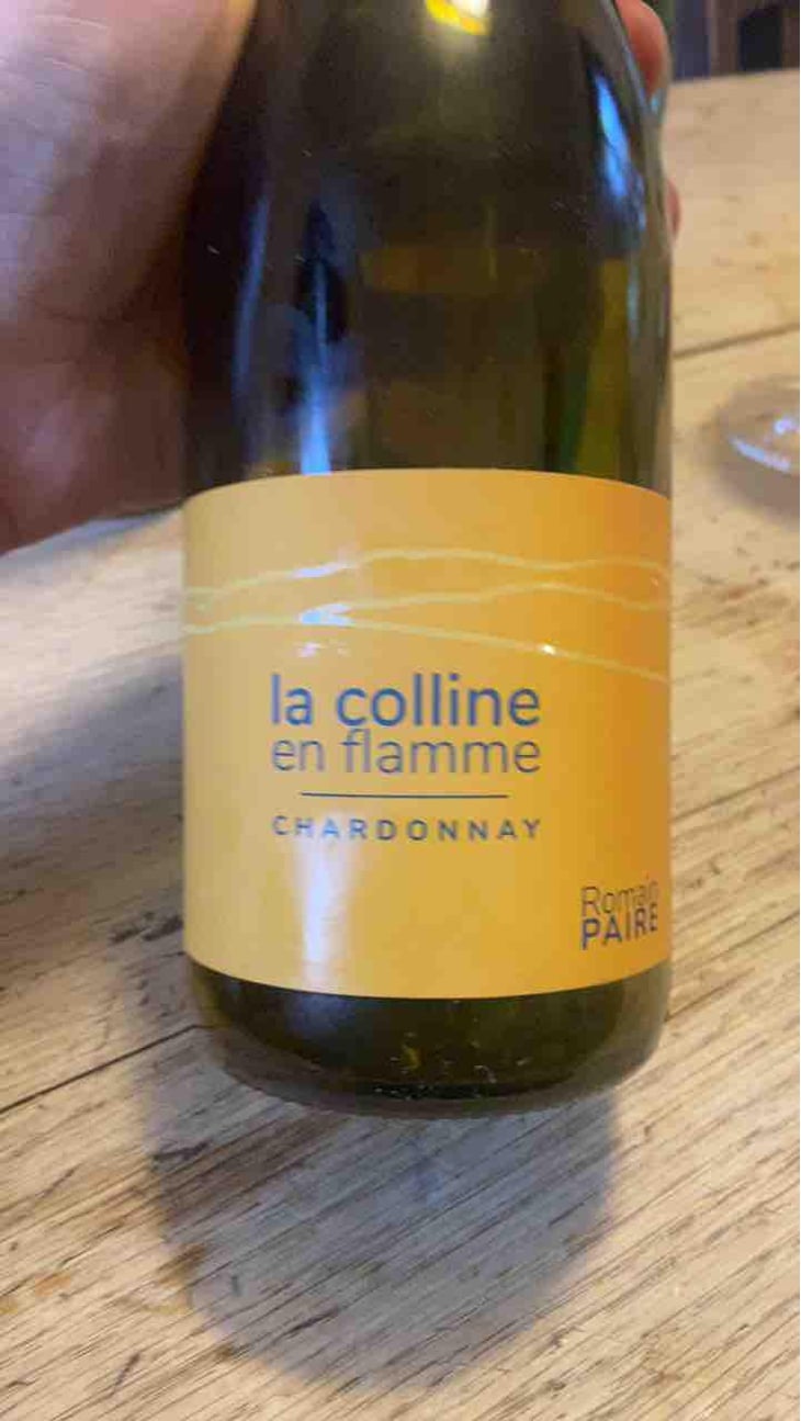 La Colline En Flamme - Domaine des Pothiers - Denise, Georges & Romain Paire 