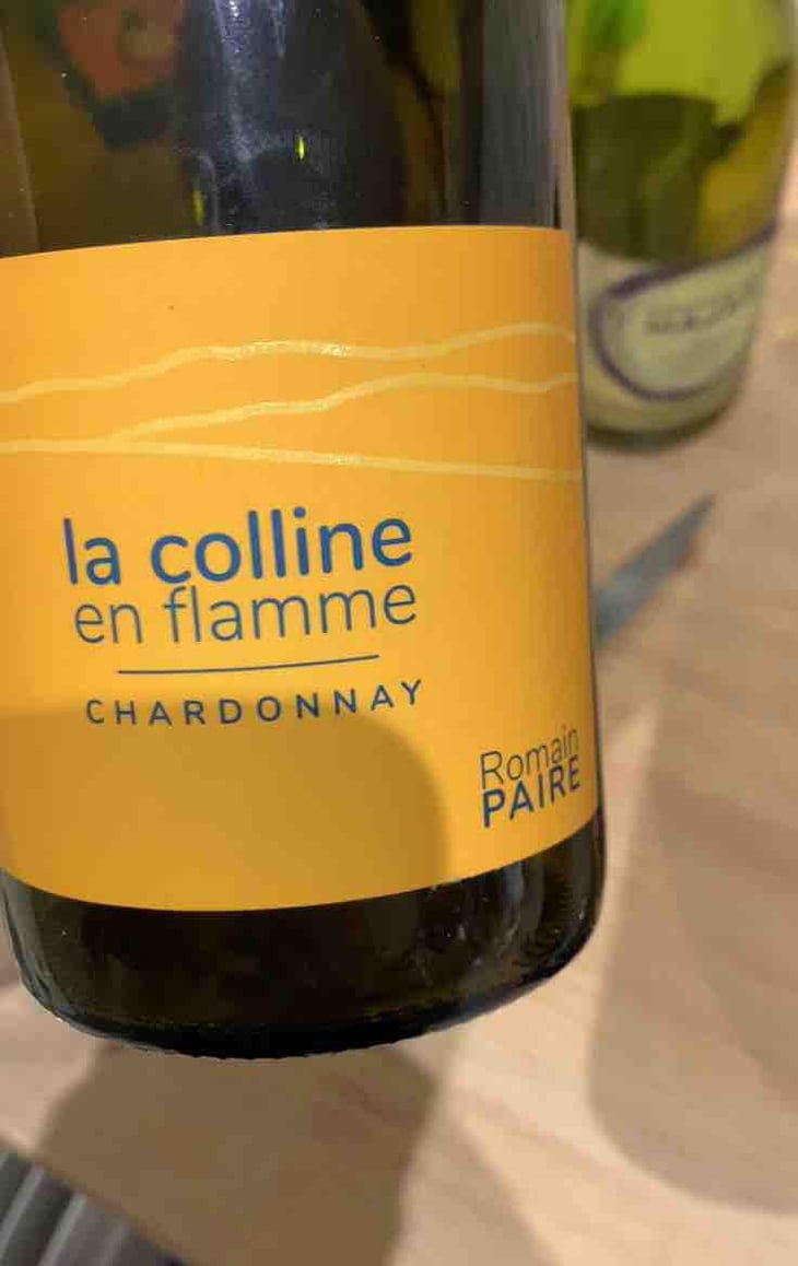 La Colline En Flamme - Domaine des Pothiers - Denise, Georges & Romain Paire 