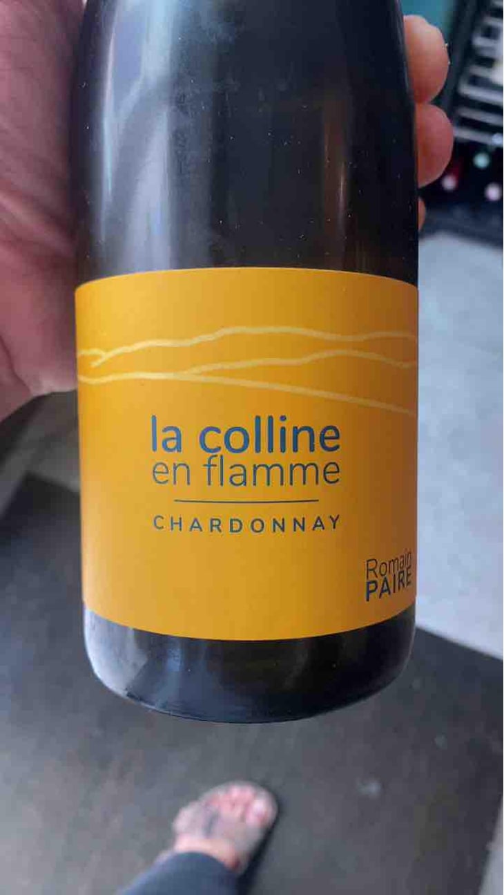 La Colline En Flamme - Domaine des Pothiers - Denise, Georges & Romain Paire 
