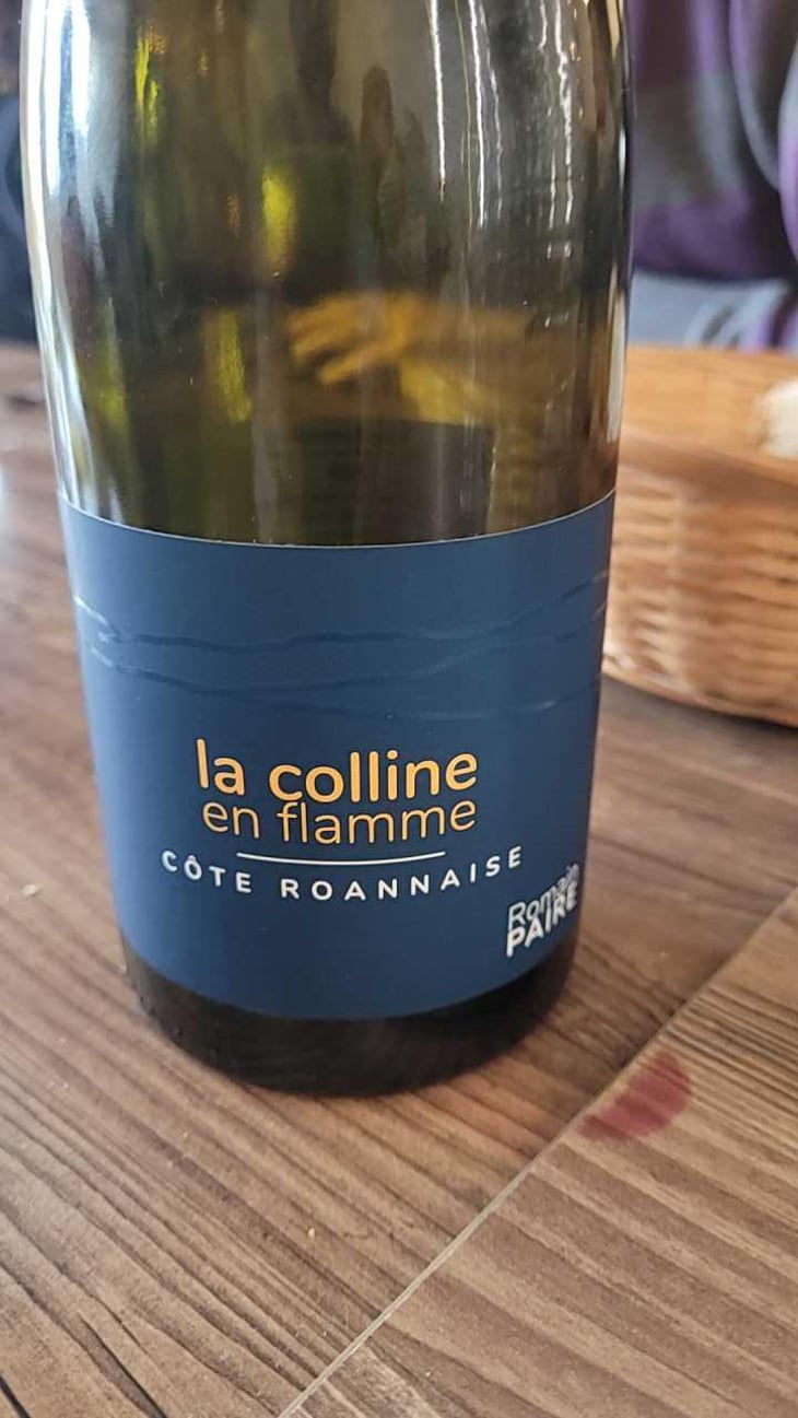 La Colline En Flamme - Domaine des Pothiers - Denise, Georges & Romain Paire 