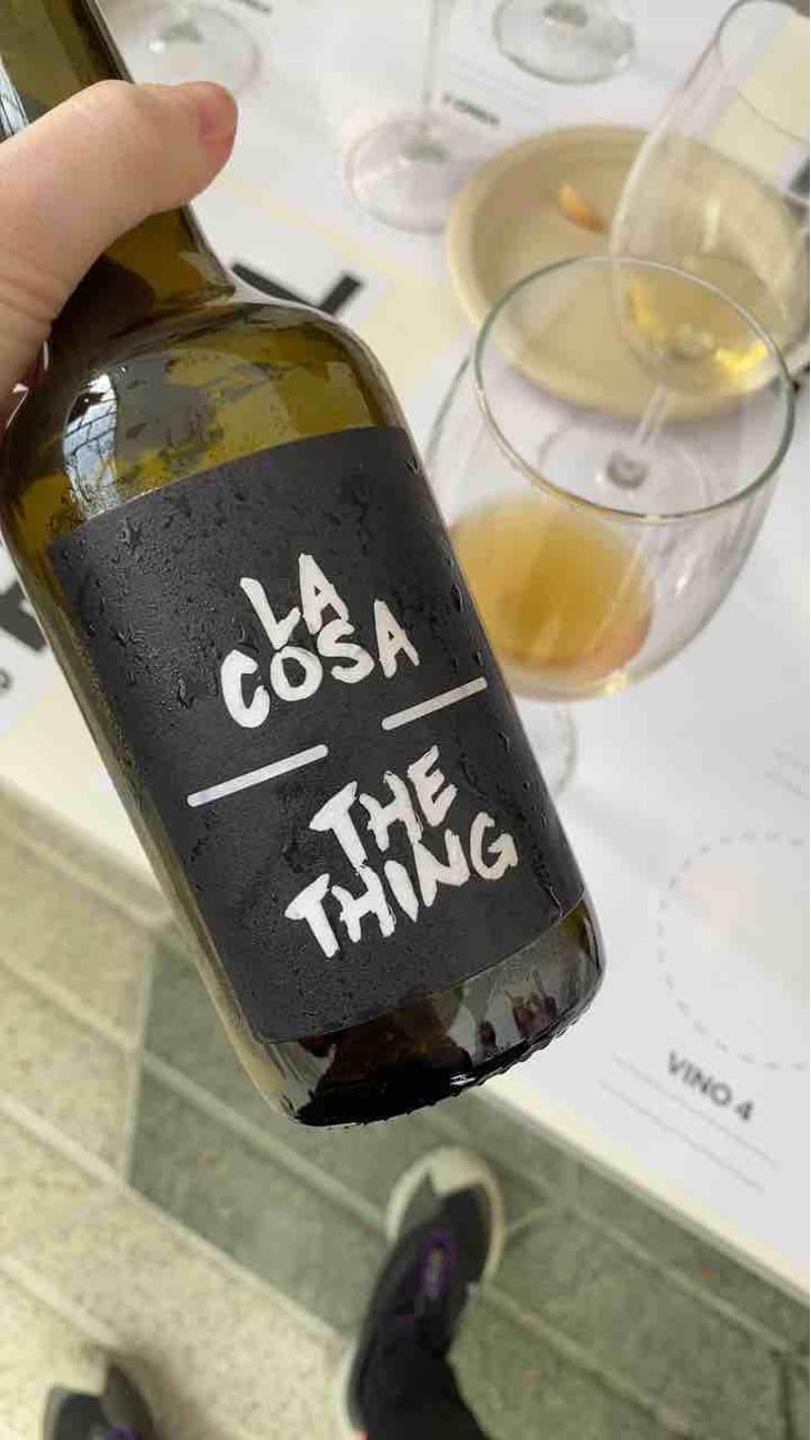 La Cosa - Bodegas y Viñedos Maestro Tejero - Alfredo Maestro Tejero 