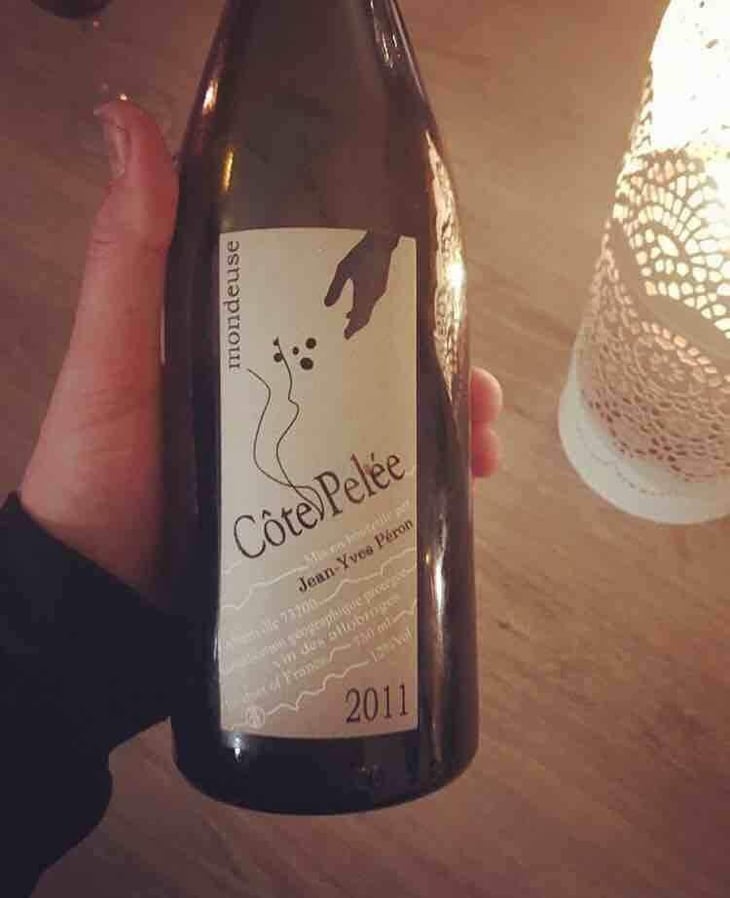 La Côte Pelée - Jean-Yves Péron - Jean-Yves Péron 
