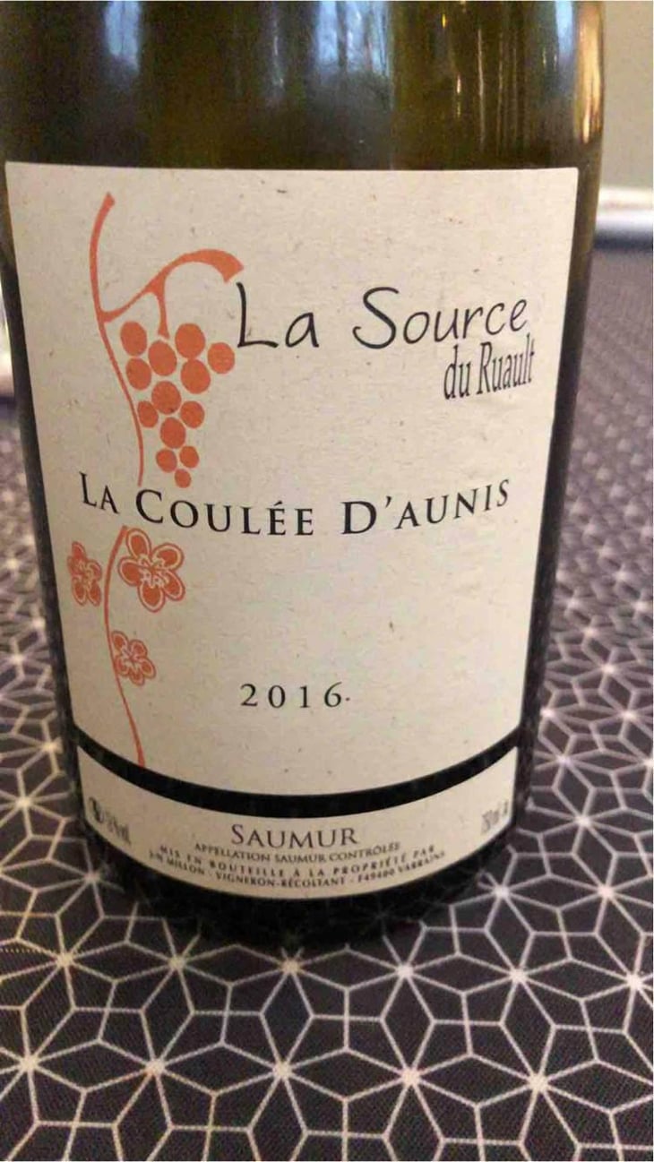 La Coulée d'Aunis - La Source du Ruault - Jean-Noël Millon 