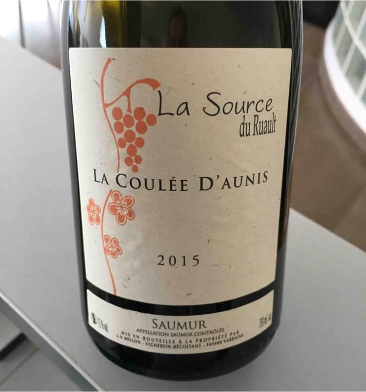 La Coulée d'Aunis - La Source du Ruault - Jean-Noël Millon 