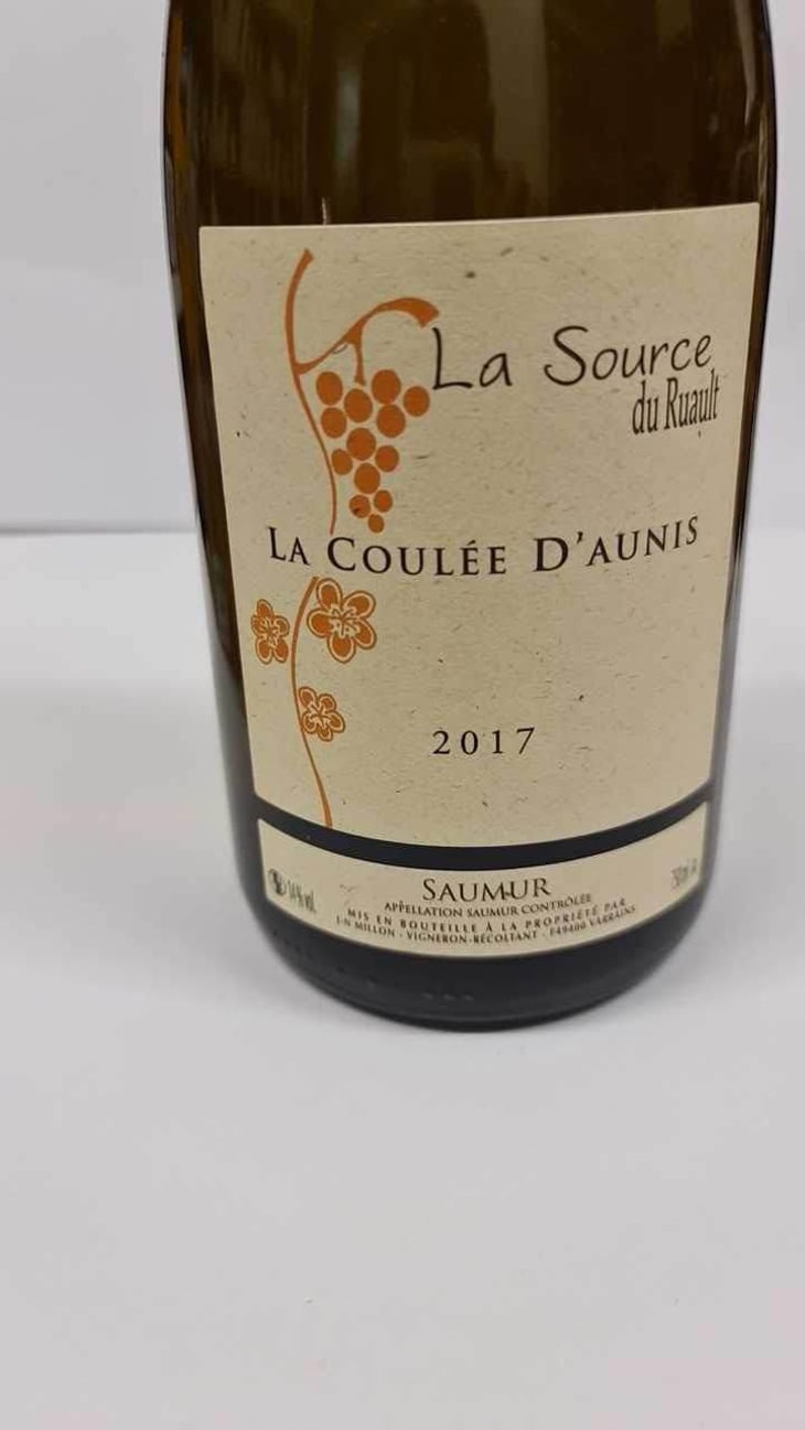 La Coulée d'Aunis - La Source du Ruault - Jean-Noël Millon 
