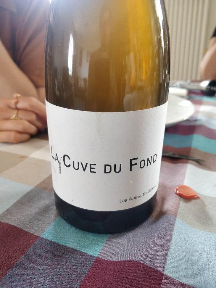 La Cuve Du Fond - Domaine Des Trouillères - Camille & Mikael Hyvert 