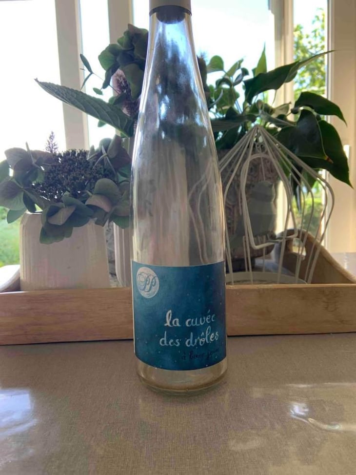 La Cuvée Des Drôles - Domaine Du Petit Paris - Blandine Geneste, Bastien Morize 