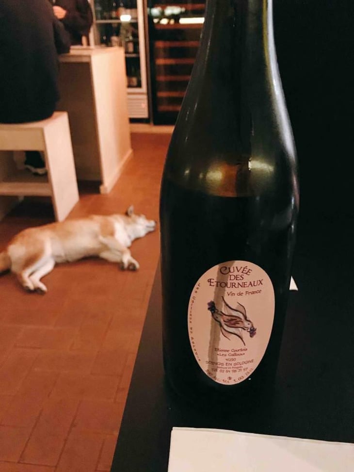 La Cuvée des Etourneaux - Les Cailloux du Paradis - Claude & Etienne Courtois 