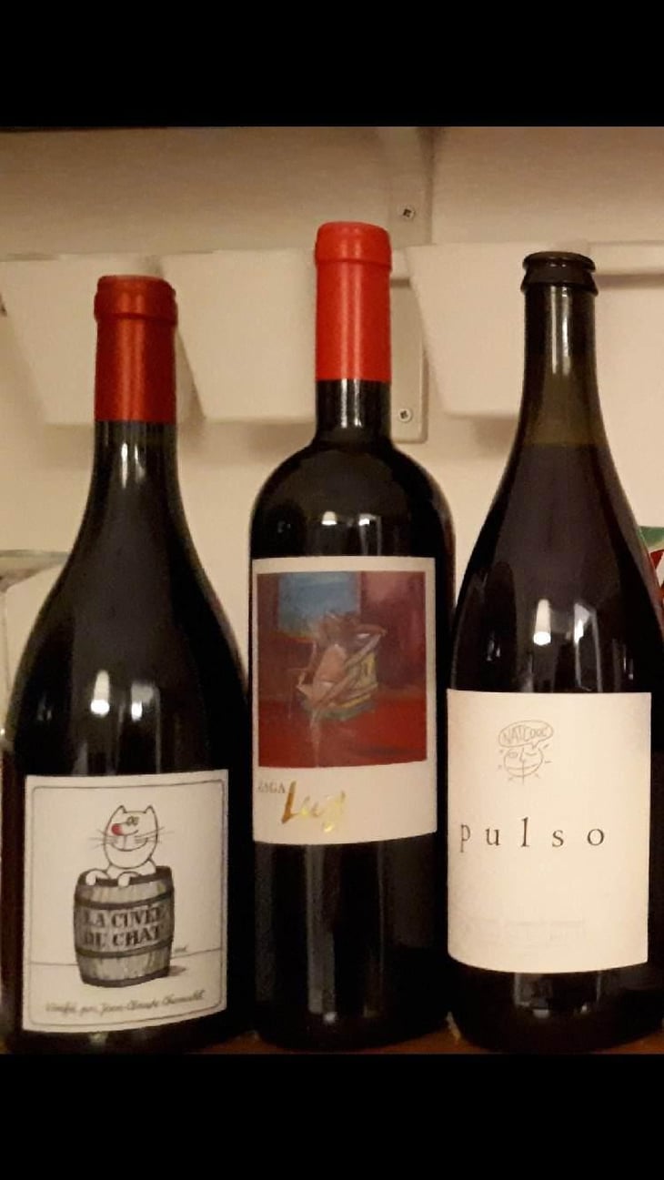 La Cuvée du Chat - Domaine Chamonard - Jean-Claude, Jeanne & Geneviève Chanudet 