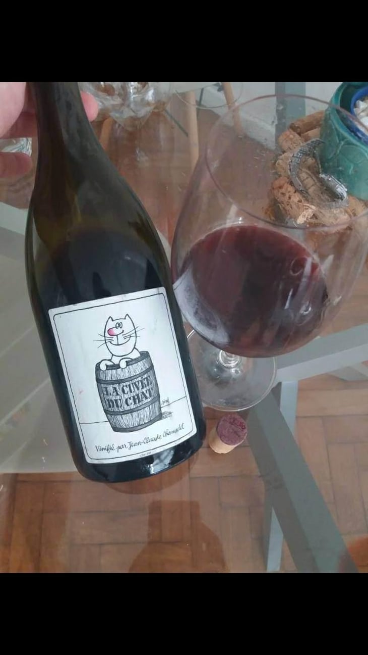 La Cuvée du Chat - Domaine Chamonard - Jean-Claude, Jeanne & Geneviève Chanudet 