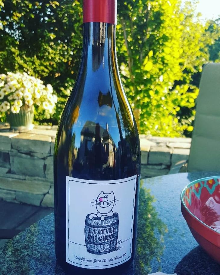 La Cuvée du Chat - Domaine Chamonard - Jean-Claude, Jeanne & Geneviève Chanudet 