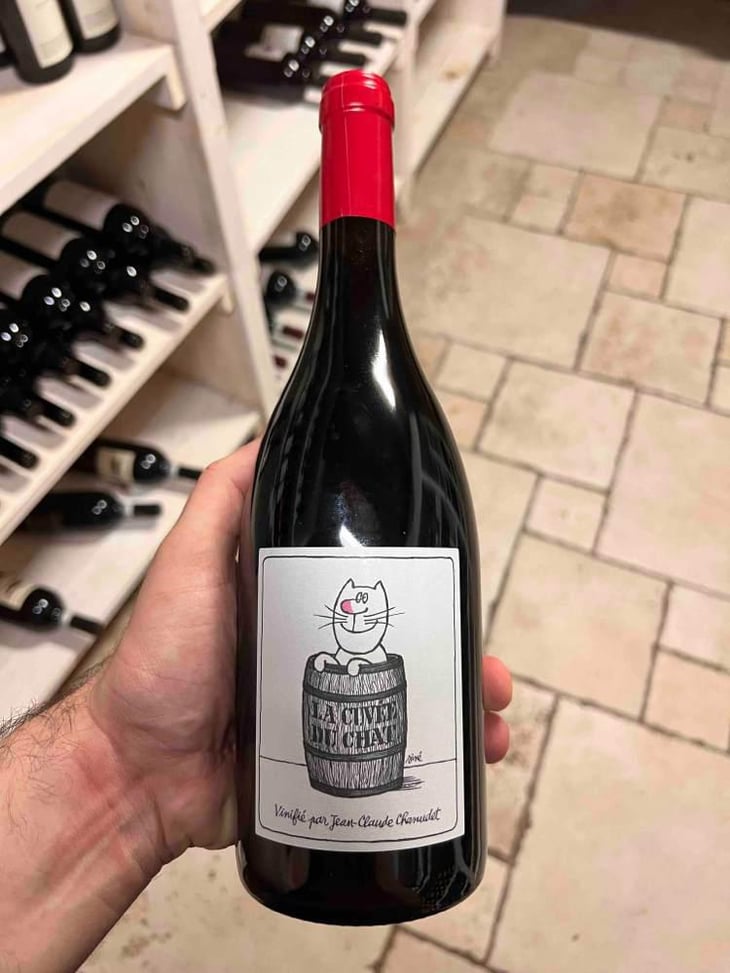 La Cuvée du Chat - Domaine Chamonard - Jean-Claude, Jeanne & Geneviève Chanudet 